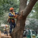 Tree Removal Cost Hilton NY (2026 Guide) Average Prices & Cost Factors