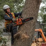 Tree Removal Services in Hilton, NY: Pricing, Factors & Money-Saving Tips