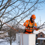 Professional arborist pruning a mature dormant maple tree from a bucket truck in Upstate NY during late winter