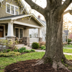 Certified arborist wearing safety gear and high-visibility vest inspecting a mature maple tree with proper root flare mulching in a suburban front yard.