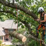Certified arborist using controlled rigging ropes to safely remove a tree branch near a residential home in Hilton NY